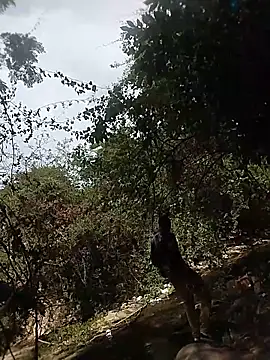 Andreskelly online show from April 22, 2026, 6:36 pm