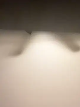 Snapshot of Lassie_Cassie chatting on February 3, 2026, 5:05 am Lassie Cassie online show from February 3, 2026, 5:05 am