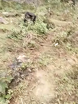 Snapshot of neko-nancy chatting on January 7, 2026, 7:57 am neko-nancy online show from January 7, 2026, 7:57 am