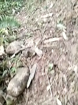 Snapshot of neko-nancy chatting on January 14, 2026, 3:10 am neko-nancy online show from January 14, 2026, 3:10 am