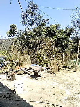 Snapshot of neko-nancy chatting on February 16, 2026, 7:07 am neko-nancy online show from February 16, 2026, 7:07 am