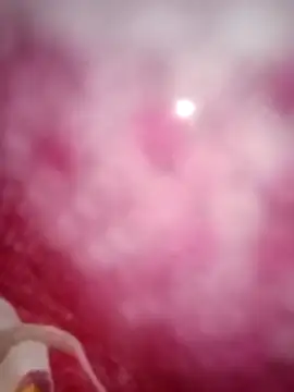 Snapshot of kusbu0077 chatting on February 19, 2026, 8:00 am kusbu0077 online show from February 19, 2026, 8:00 am