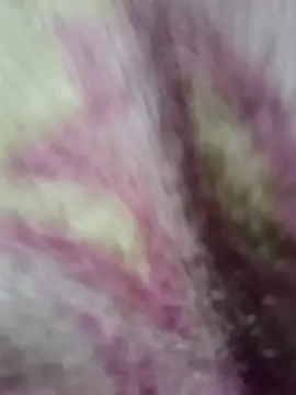 Snapshot of Lovely_priya1001 chatting on December 14, 2025, 7:30 pm Lovely priya1001 online show from December 14, 2025, 7:30 pm