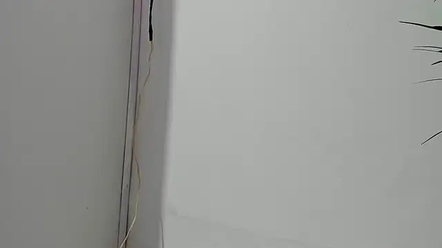 sebastamayo  online show from February 26, 2026, 5:07 am