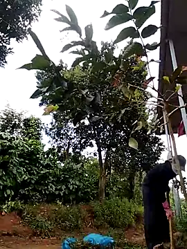 Snapshot of Metting88 chatting on December 15, 2025, 1:22 am Metting88 online show from December 15, 2025, 1:22 am