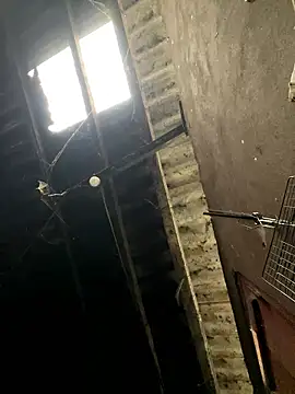 Nika-be online show from January 17, 2026, 1:53 am