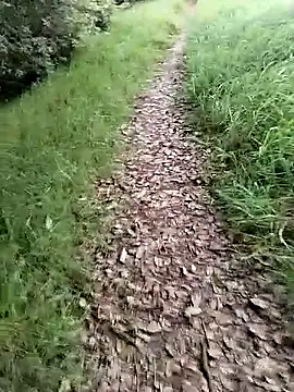 Snapshot of ZarayNero chatting on February 20, 2026, 9:50 pm ZarayNero online show from February 20, 2026, 9:50 pm