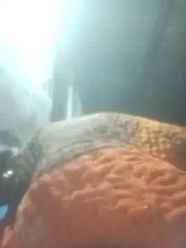 Pinki rajak online show from January 11, 2026, 7:10 pm