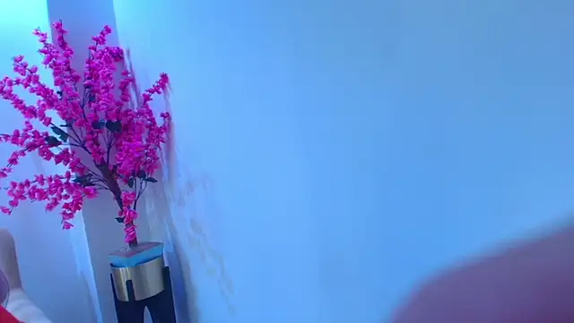 Sophie clay online show from April 18, 2026, 7:51 pm