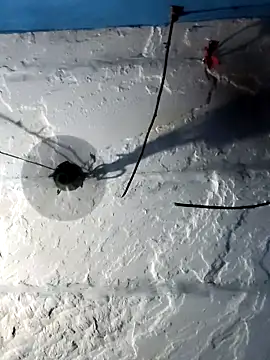 Akanksha soni online show from April 3, 2026, 10:43 am