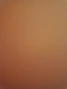 Snapshot of Punam_sekhavat chatting on December 17, 2025, 8:58 pm Punam sekhavat online show from December 17, 2025, 8:58 pm