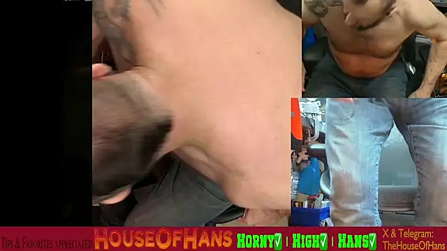 HouseOfHans online show from February 19, 2026, 1:46 am