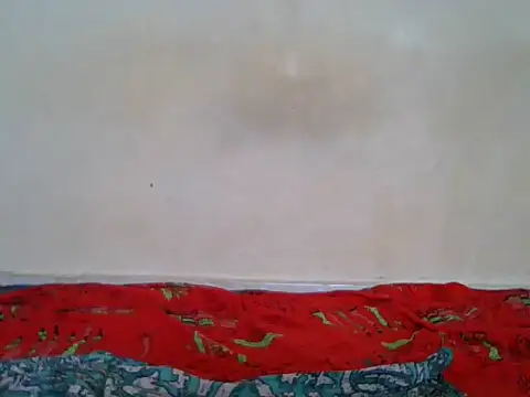Snapshot of BaddestBitchee chatting on April 27, 2026, 2:15 pm BaddestBitchee online show from April 27, 2026, 2:15 pm