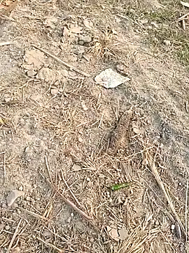 Snapshot of sexloverg7 chatting on December 15, 2025, 10:43 am sexloverg7 online show from December 15, 2025, 10:43 am