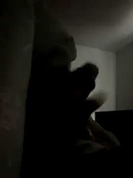 ronalx0 online show from December 15, 2025, 7:31 pm