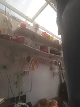 Snapshot of Almeyjose chatting on December 15, 2025, 5:52 pm Almeyjose online show from December 15, 2025, 5:52 pm