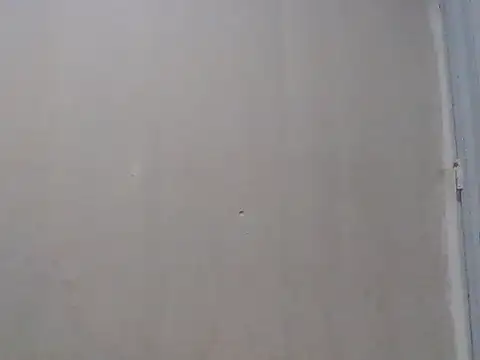 moreno dotado22 online show from December 19, 2025, 2:26 am