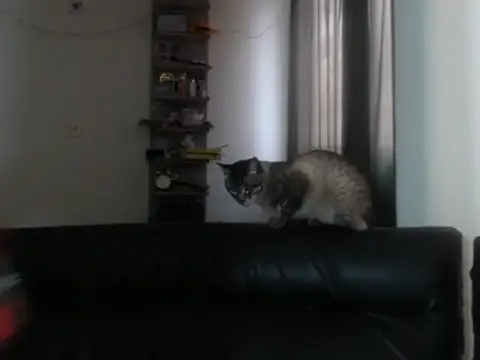 Snapshot of BeautyYoungblond chatting on February 3, 2026, 10:26 pm BeautyYoungblond online show from February 3, 2026, 10:26 pm