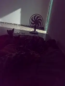 Snapshot of WPS15 chatting on April 15, 2026, 11:27 pm WPS15 online show from April 15, 2026, 11:27 pm