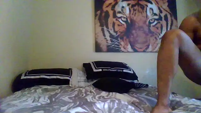 KingDes55 online show from March 11, 2026, 2:44 pm