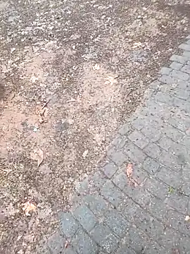 musa27272 online show from February 1, 2026, 5:27 am