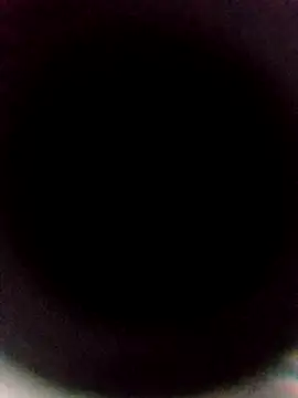 sexback11 online show from January 14, 2026, 6:50 am