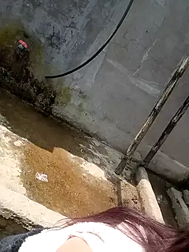 boiboi001 online show from March 2, 2026, 5:52 am