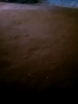 Kajal sexe online show from December 21, 2025, 3:52 am