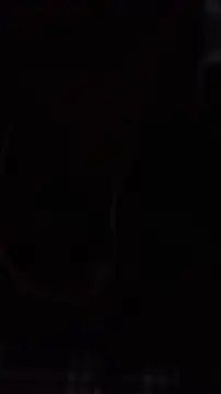 wild dick in online show from December 22, 2025, 7:19 am