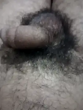 EchoedPerusing online show from March 26, 2026, 12:42 am