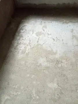 dakota-kis online show from February 4, 2026, 11:55 pm