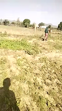 hornycouple20000 online show from April 10, 2026, 3:35 am