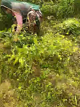 hornycouple20000 online show from January 8, 2026, 5:46 am