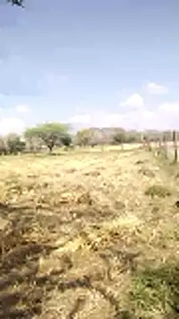 hornycouple20000 online show from March 20, 2026, 5:08 am