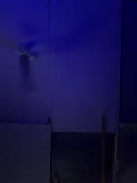 Bigbrowneyes25 online show from March 9, 2026, 5:00 am