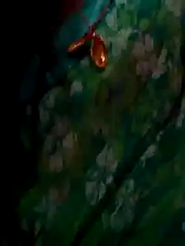 Snapshot of ramya_sri chatting on February 2, 2026, 9:30 am ramya sri online show from February 2, 2026, 9:30 am