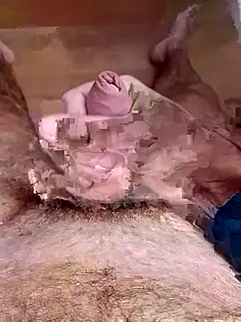 Snapshot of jellwet chatting on February 13, 2026, 10:59 am jellwet online show from February 13, 2026, 10:59 am