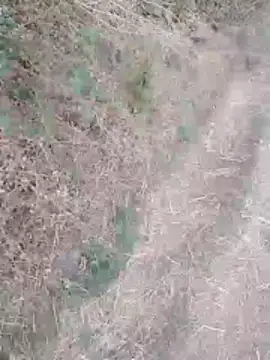 sexyboy 917 online show from March 30, 2026, 1:18 am