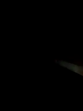 Dariralf online show from February 17, 2026, 12:19 am