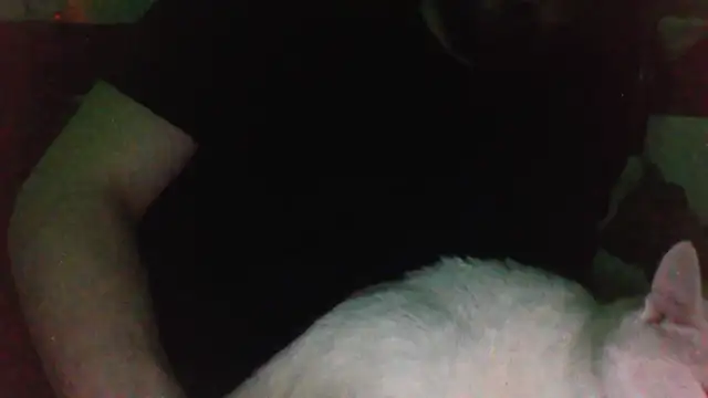 KaelNox online show from March 31, 2026, 11:40 pm