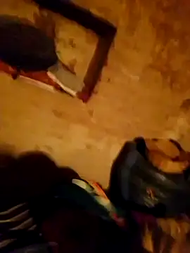 Jyoti sekh online show from February 12, 2026, 4:40 pm