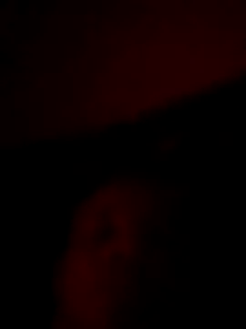 doidopradar online show from February 3, 2026, 3:48 am