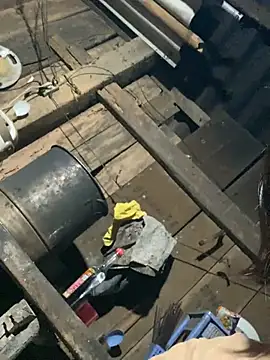 Snapshot of Some-03 chatting on January 19, 2026, 11:14 am Some-03 online show from January 19, 2026, 11:14 am