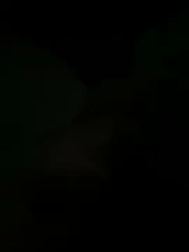 Snapshot of biggmine chatting on August 4, 2026, 3:55 am biggmine online show from August 4, 2026, 3:55 am