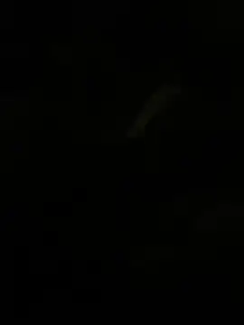 Herr Snusk online show from July 1, 2026, 12:11 am