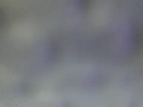 Minico25 online show from March 29, 2026, 2:46 am