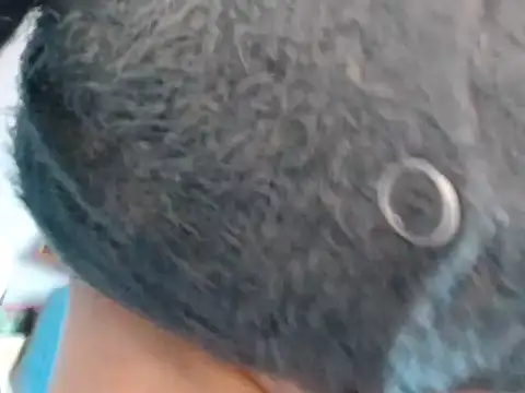 xmyriamx online show from March 1, 2026, 2:17 pm