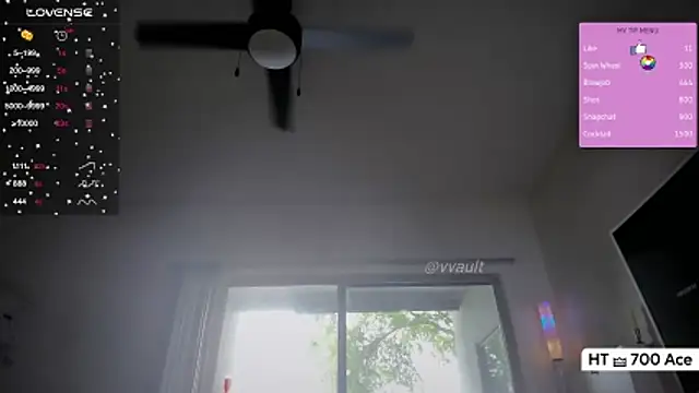 Vesagal online show from April 16, 2026, 9:26 pm