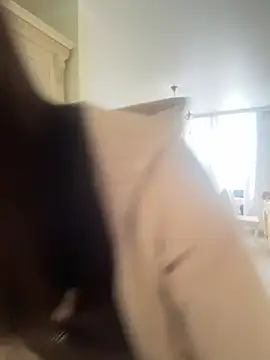 Judy  Hopps online show from January 19, 2026, 9:13 am