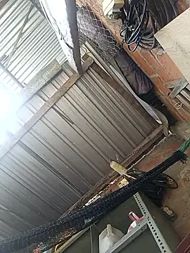 Snapshot of cielo420 chatting on January 7, 2026, 4:12 pm cielo420 online show from January 7, 2026, 4:12 pm